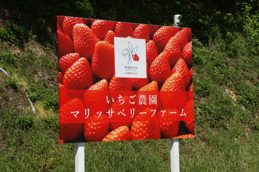 いちご狩りを体験しました🍓